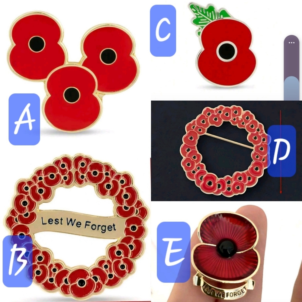 💮⚘️- Remembrance Day Poppy Pin / Broach 💮⚘️